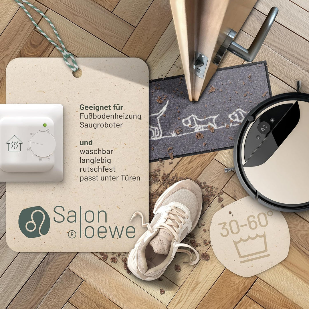 Salonloewe Minimatte Hereingedackelt 030x075 cm Fussabtreter Sauberlaufmatte draussen Fussmatte Indo