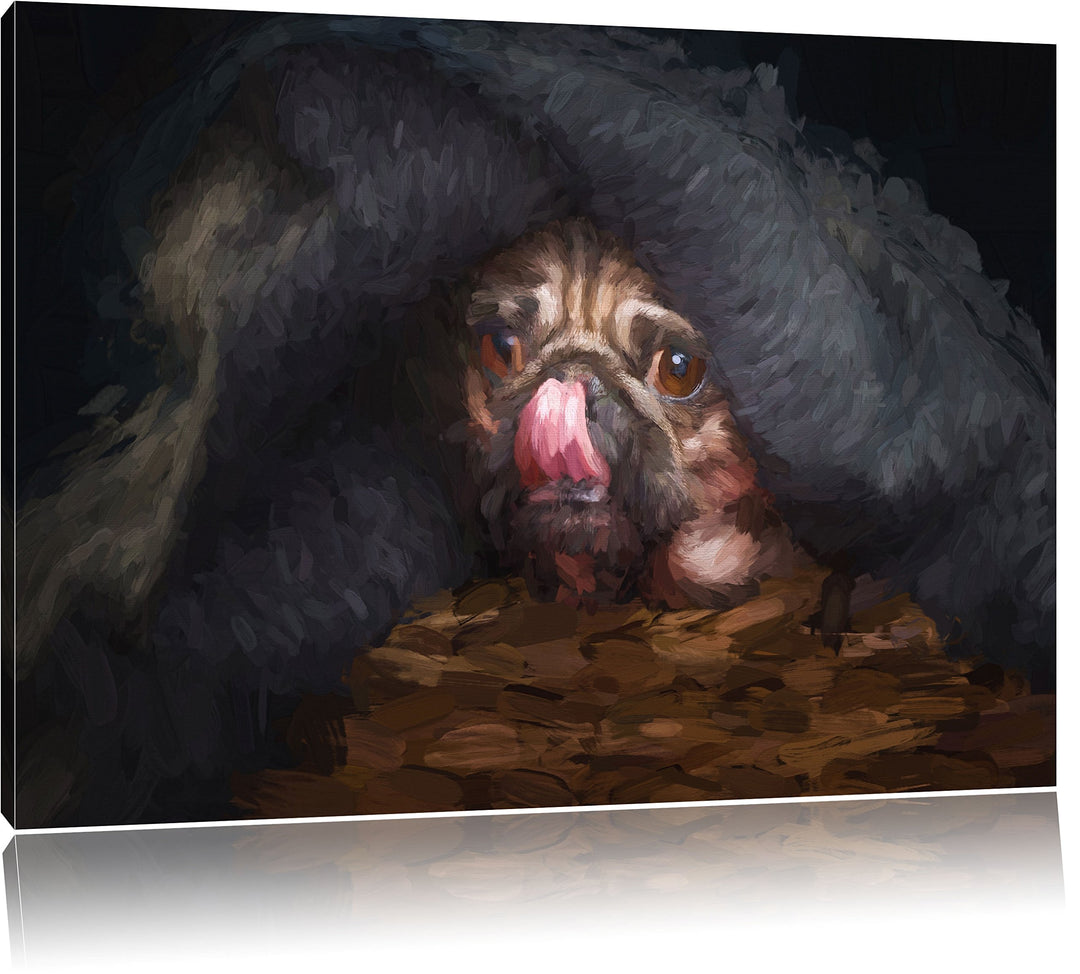 Pixxprint Süsser Mops unter der Decke Kunst als Leinwandbild/Grösse: 100x70 cm/Wandbild/Kunstdruck/f