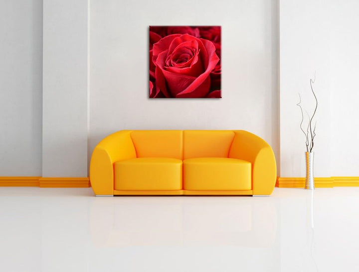 Romantische Rosen, Format: 70x70 auf Leinwand, XXL riesige Bilder fertig gerahmt mit Keilrahmen, Kun