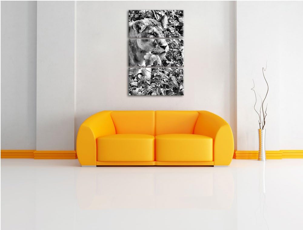 Pixxprint wachsame Löwin als Leinwandbild/Grösse: 3 Teilig (120x80) cm/Wandbild/Kunstdruck/fertig be