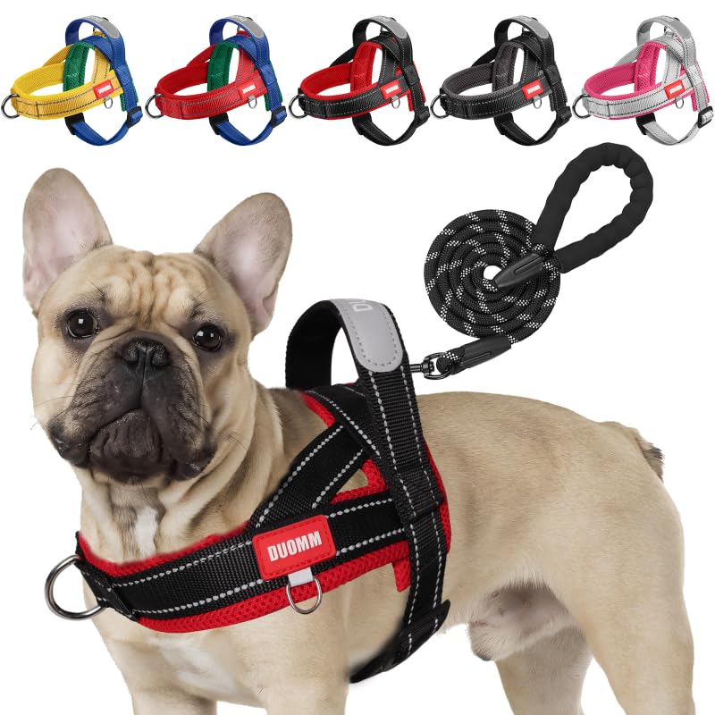 Hundegeschirr mit Leine für Mittelgrosse Kleine Hunde Welpen, Bunt Farbblock Geschirr, Mesh Gepolste