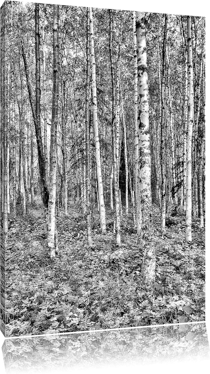 Monocrome, Birkenwald, Format: 100x70 auf Leinwand, XXL riesige Bilder fertig gerahmt mit Keilrahmen