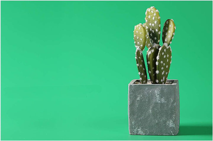 Selens PVC Hintergrund 120x200cm Wasserdicht Fotografie Hintergründe Matte Background für Fotostudio