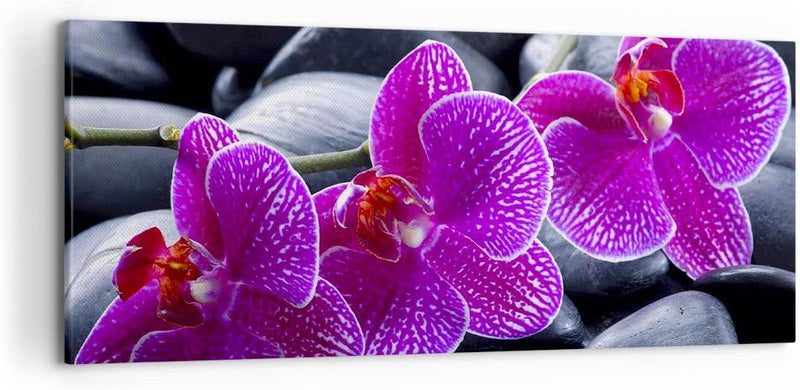 Wandbilder Dekoration Wohnzimmer Blumen Steine Violett Aromatherapie Bilder auf Leinwand 120x50cm Le