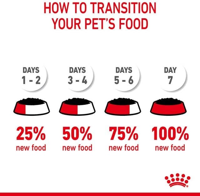 Royal Canin Urinary Care Gravy | Doppelpack | 2 x 12 x 85 g | Kleine Stückchen in Sosse | Zur Förder