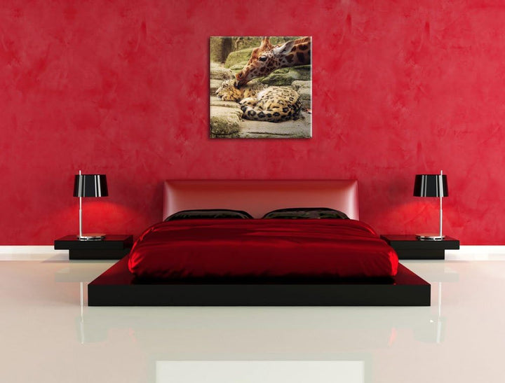 Pixxprint Leopard und Giraffe als Leinwandbild/Grösse: 70x70 cm/Wandbild/Kunstdruck/fertig bespannt,