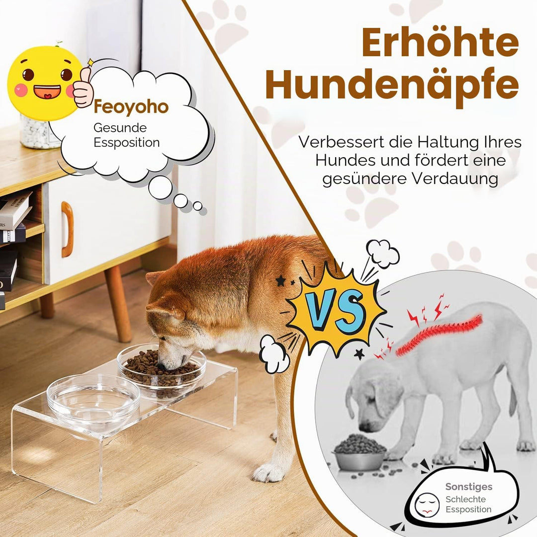 Erhöhter Futternapf für Hunde und Katzen, aus Acryl, mit 2 abnehmbaren Glasnäpfen und 2 Edelstahlnäp