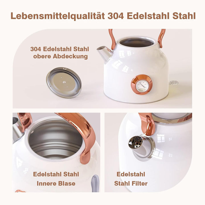 NESSGRAIM Retro Wasserkocher, 1,7 l Edelstahl-Teekessel mit Grosser Temperaturanzeige, 2200W Schnell