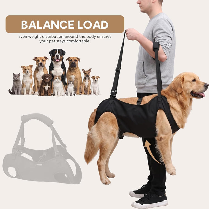 Tragehilfe Hund Gross,Verstellbar Und Gepolstert (L), L