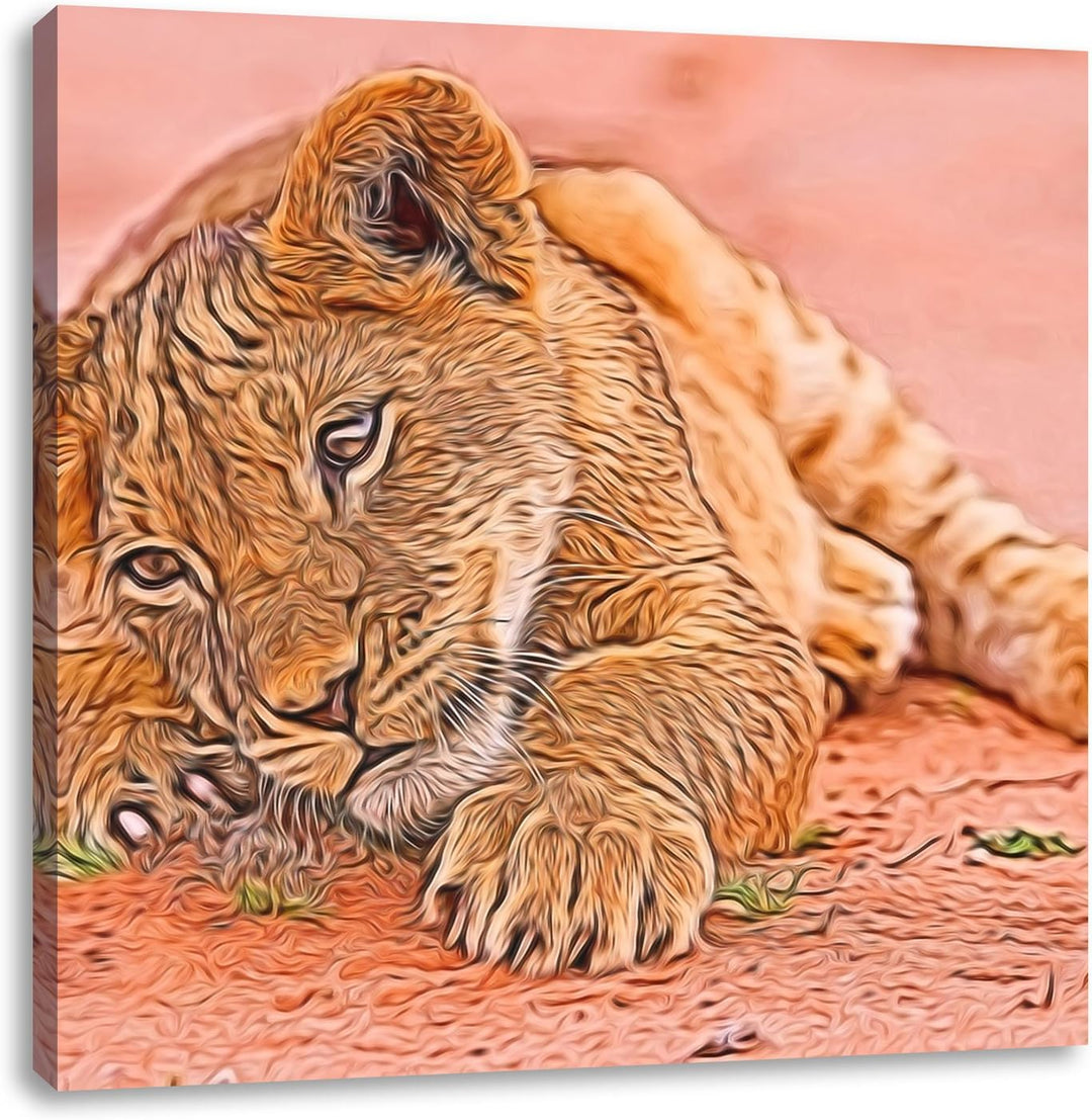 süsses Löwenbaby spielt, Format: 70x70 auf Leinwand, XXL riesige Bilder fertig gerahmt mit Keilrahme