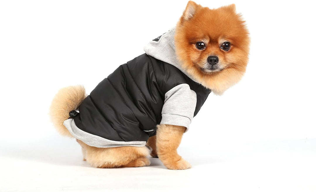Doggy Dolly W109 Hundejacke Wasserabweisend mit Kapuze, schwarz/grau, Wintermantel/Winterjacke, Grös
