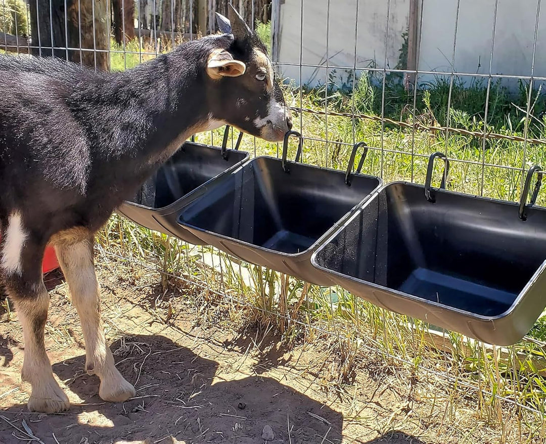mozoba Hängender Hühner-Futterspender für Ziegen, Schafe, Hirsch, Geflügel, Enten, Hühnerzaun, Futte