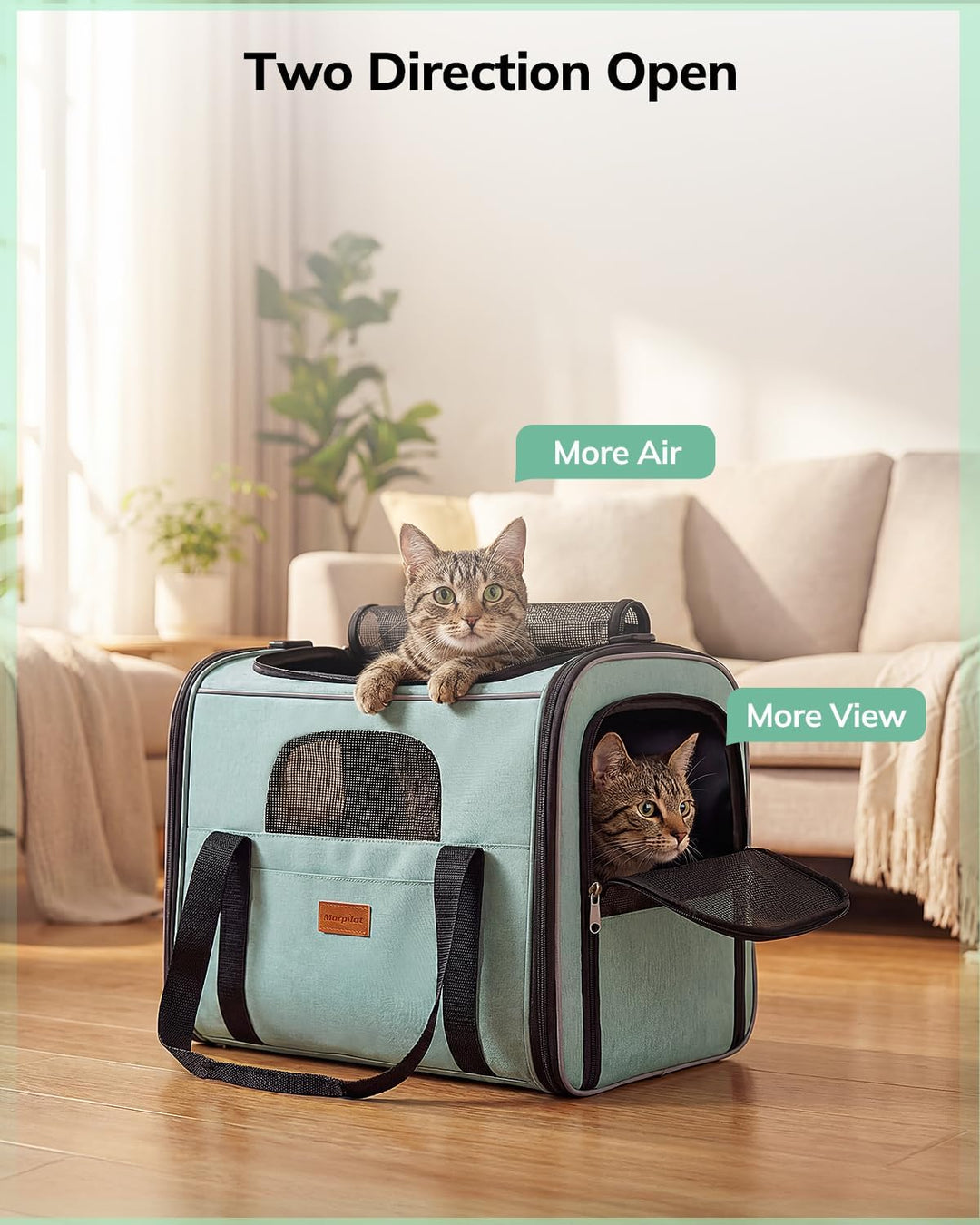 Morpilot Katzentransportbox für grosse Katzen und Welpen Katzenbox Hundetasche mit Sicherheit Reissv