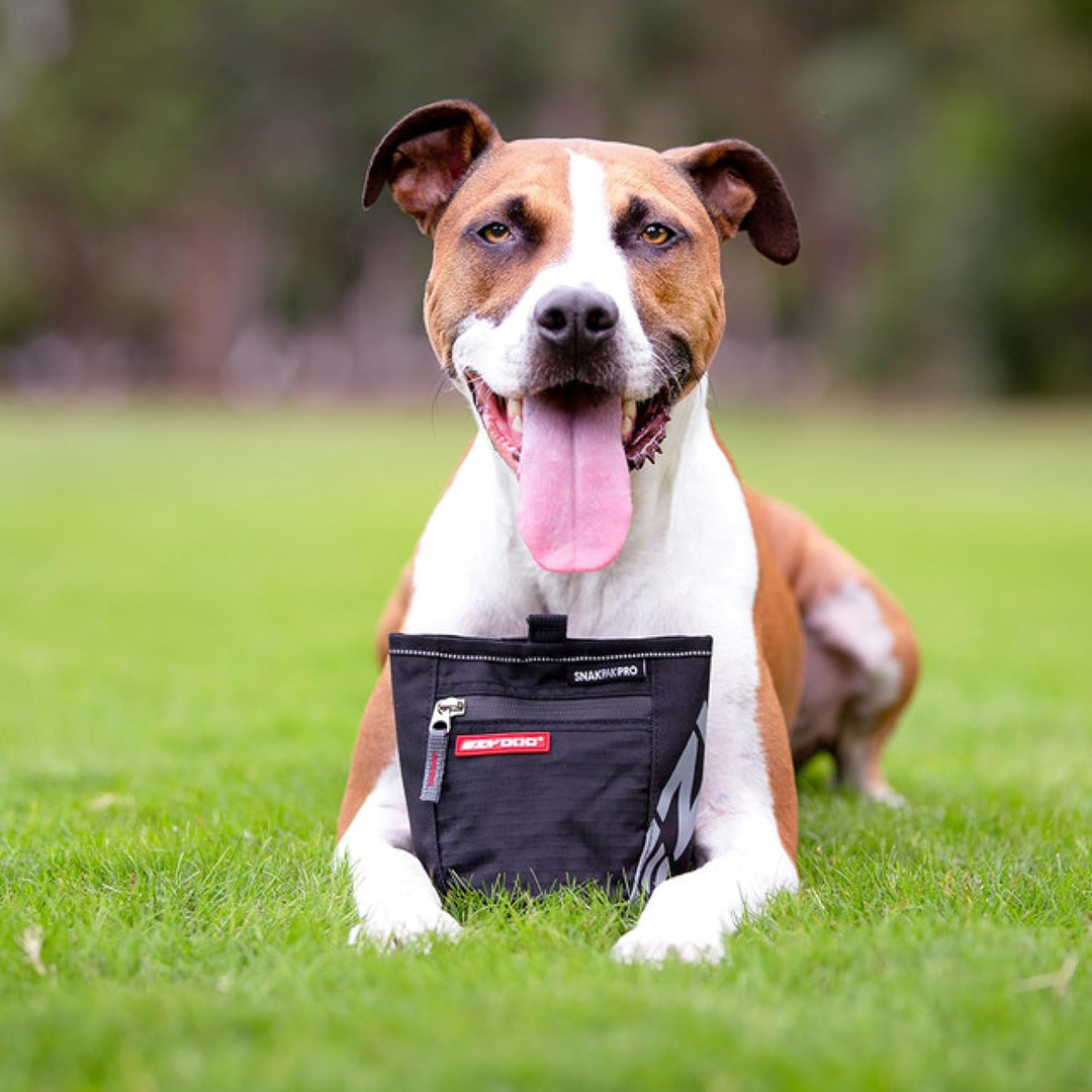Ezydog - Snackpack Black - (634.9500), Black