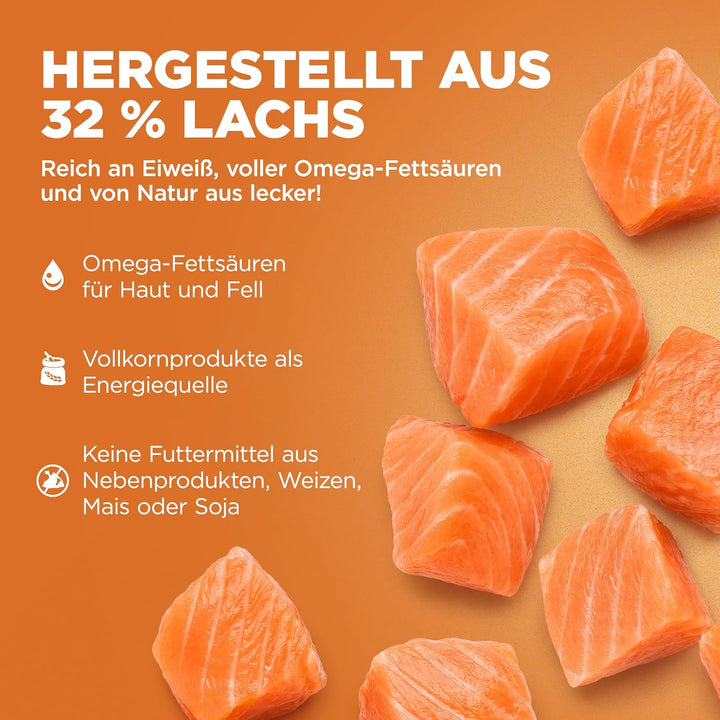 Go! Solutions Skin + Coat Care Getreidehaltige Rezeptur für Hunde Lachs, 1,6-kg-Beutel