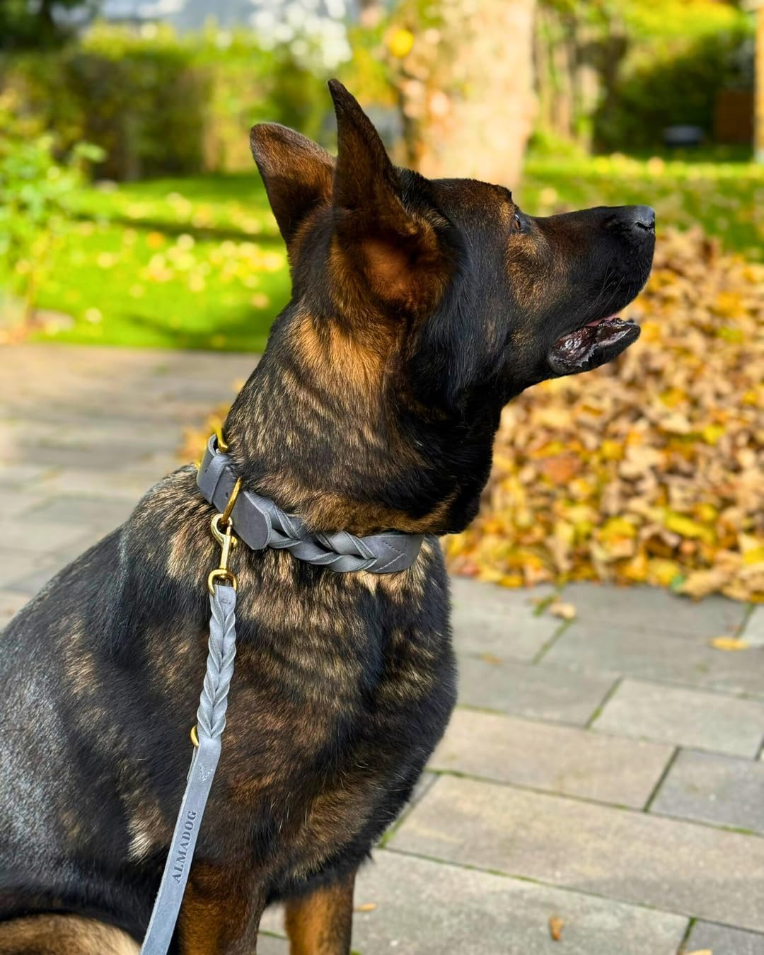 Hundehalsband Abby - Geflochtenes Fettleder Silbergrau L (45-52,5cm Halsumfang, 2,7cm breit), L (45-