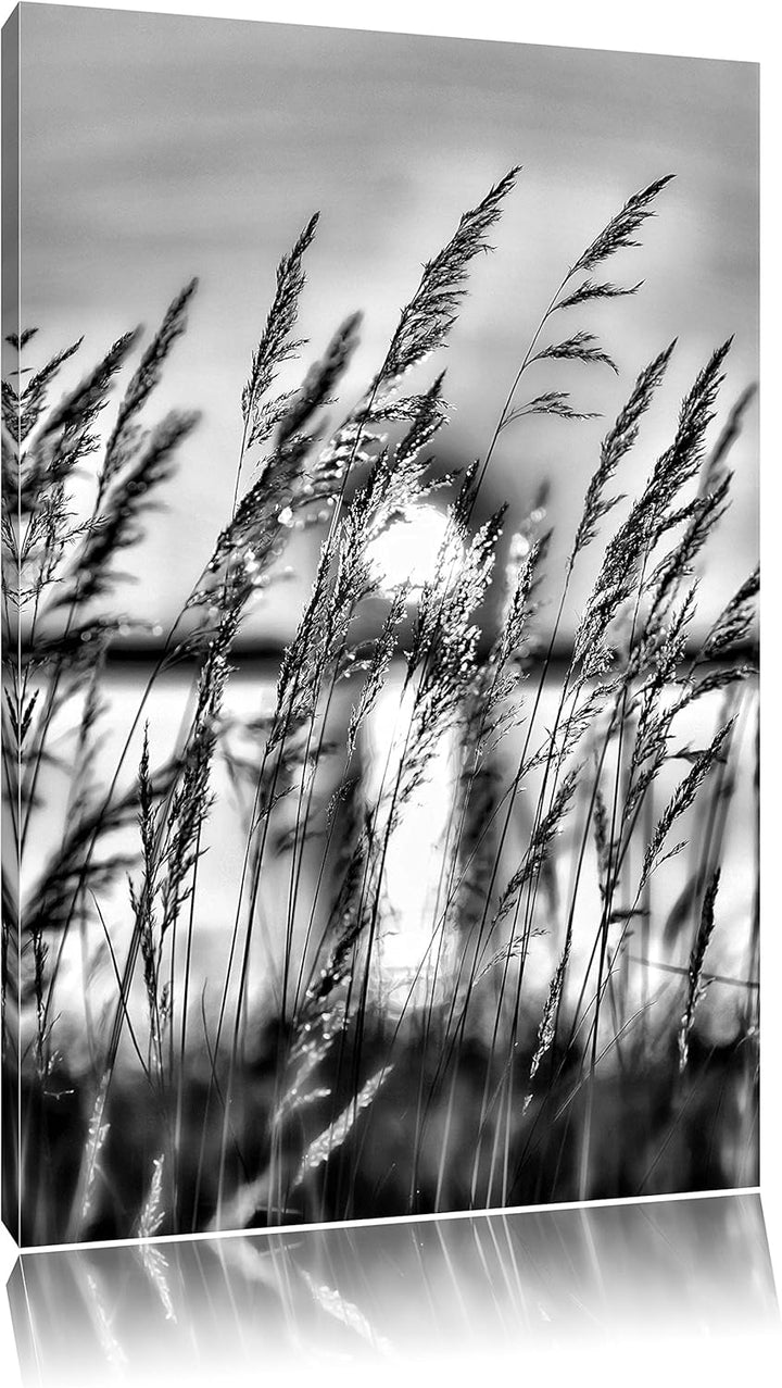 Pixxprint Sonne zwischen Gräsern / 100x70cm Leinwandbild bespannt auf Holzrahmen/Wandbild Kunstdruck