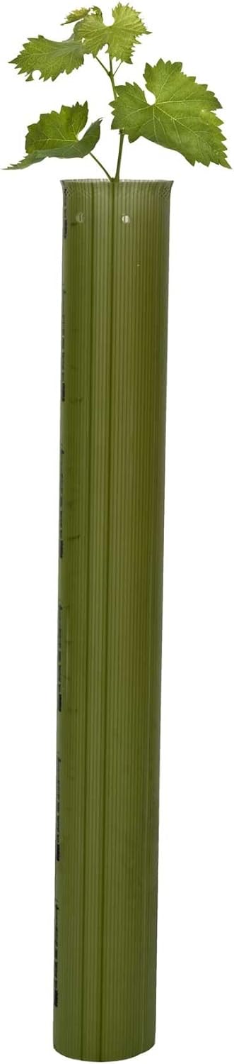 Tubex Vine Original, Rebschutzröhre 60cm, Ø 90-110mm, grün, Rebschutz-/Wuchshülle für den Weinbau (6