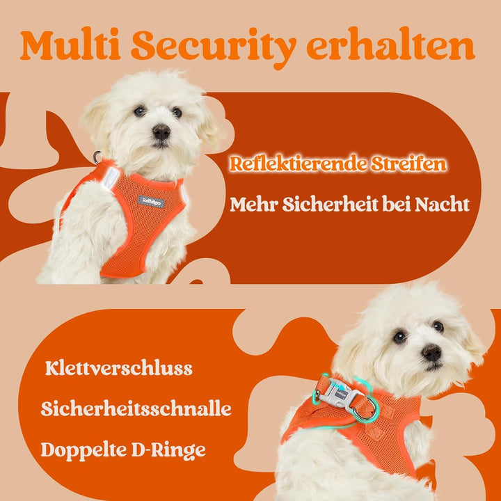 rabbitgoo Hundegeschirr Kleine Hunde, Step-in Welpengeschirr Weich Mesh für Spaziergänge, Atmungsakt