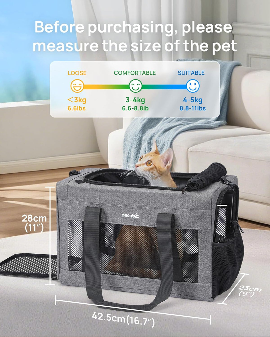 pecute Katzentasche Transporttasche Flugtasche Stabiler Halt Haustier Tragetasche, Transportbox Katz