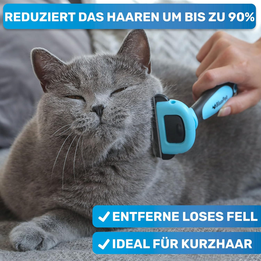 BluePet Katzenbürste & Hundebürste Kurzhaar zum Entfernen von losem Fell & Unterwolle I Bis zu 90% w