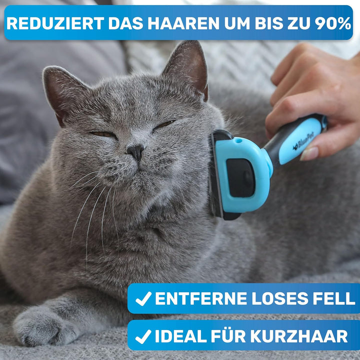 BluePet Katzenbürste & Hundebürste Kurzhaar zum Entfernen von losem Fell & Unterwolle I Bis zu 90% w