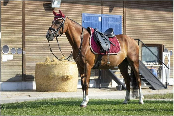 Equi-Theme Schabracke POLYFUN in 9 trendigen Farben Bordeaux Pony, Bordeaux Pony