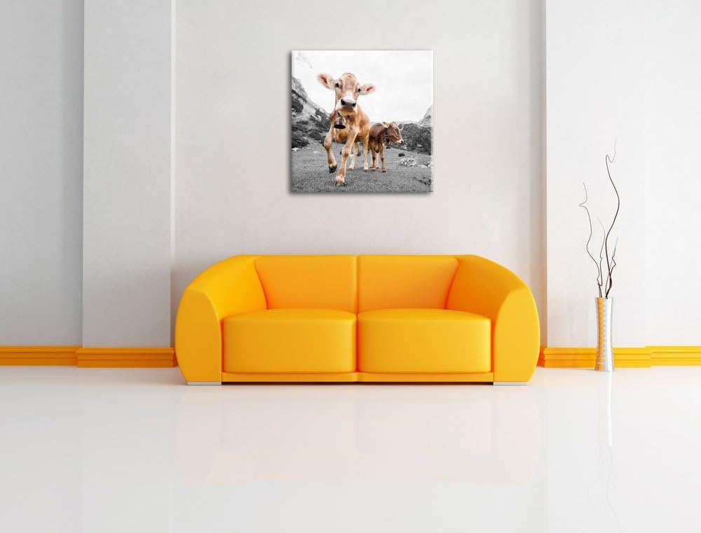 Pixxprint Almkuh auf der Weide B&W Detail, Format: 70x70 auf Leinwand, 70x70