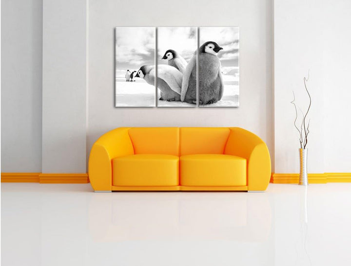 Pixxprint Kaiserpinguin Gruppe als Leinwandbild/Grösse: 3 Teilig (120x80) cm/Wandbild/Kunstdruck/fer