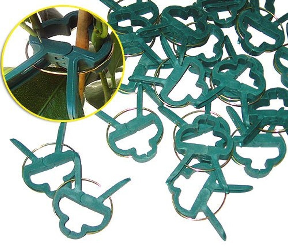 iapyx Pflanzenclips Starke stabile Pflanzenklammern extra gross für Spaliere Rosenbogen Rankhilfe et