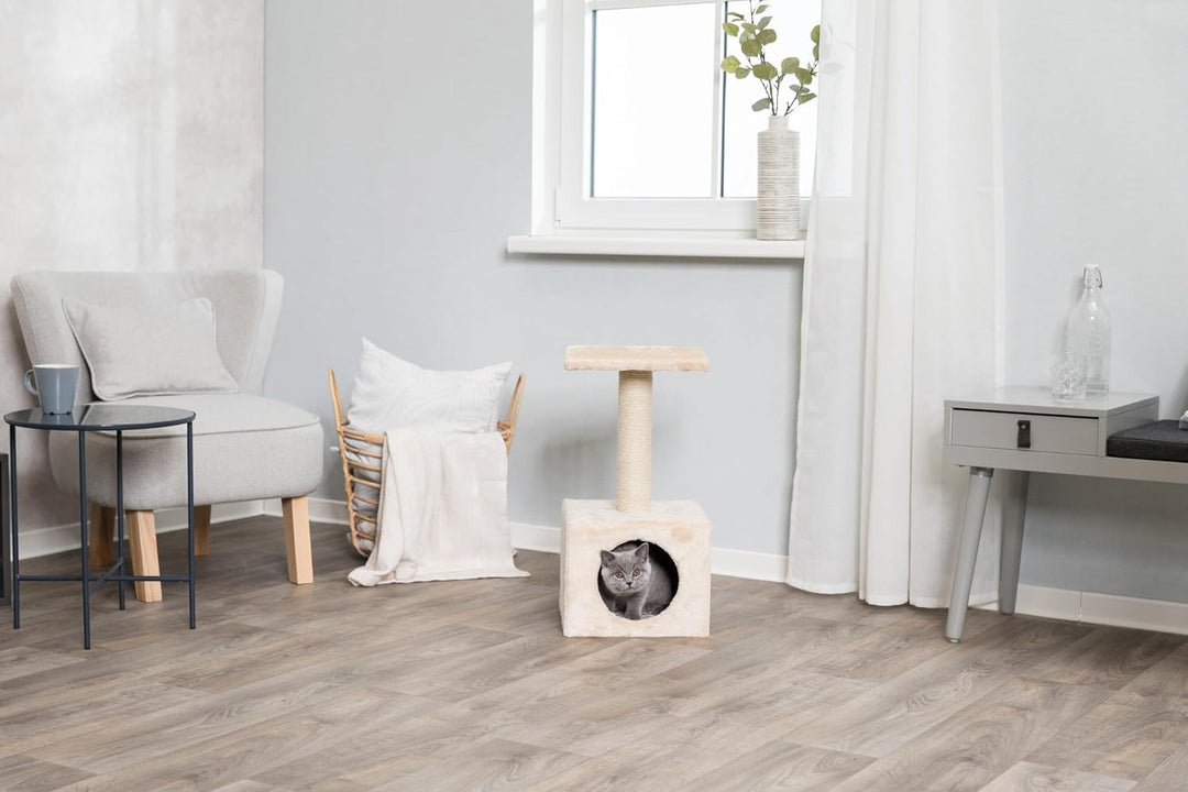 Trixie 43351 Kratzbaum Zamora, 60 cm, beige Zamora, Kätzchenbaum, beige, Zamora, Kätzchenbaum, beige