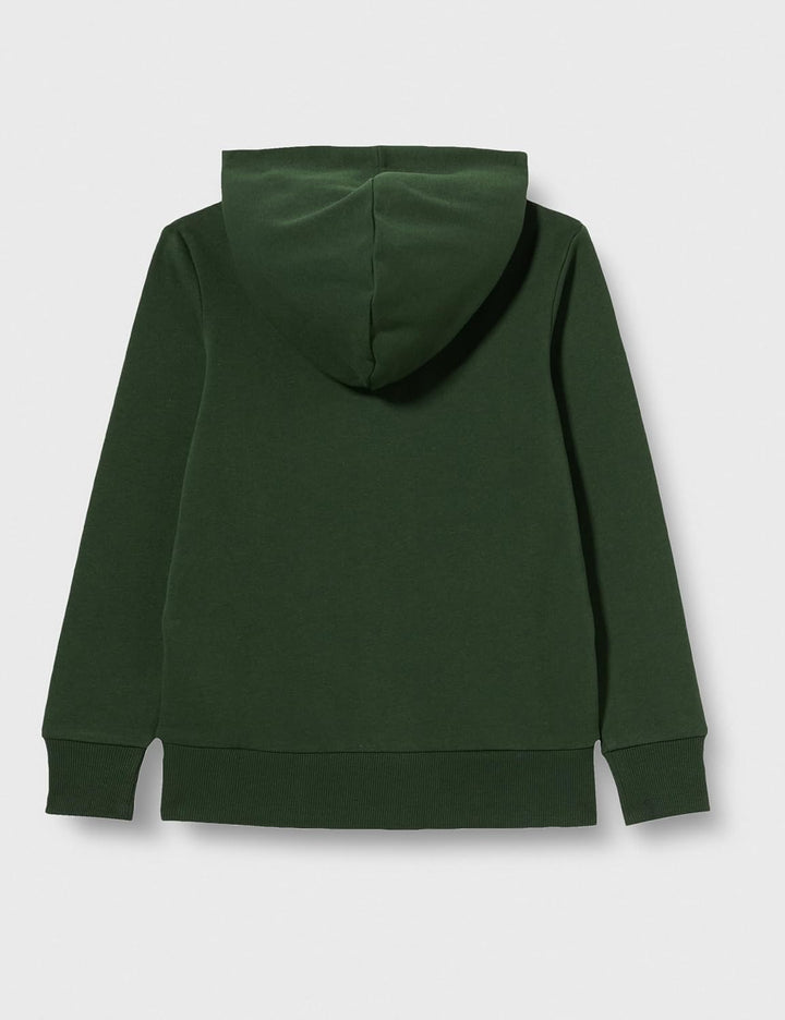 JACK & JONES Jungen Jjalex Sweat Hood Jnr Kapuzenpullover 128 Mountain View, 128 Mountain View
