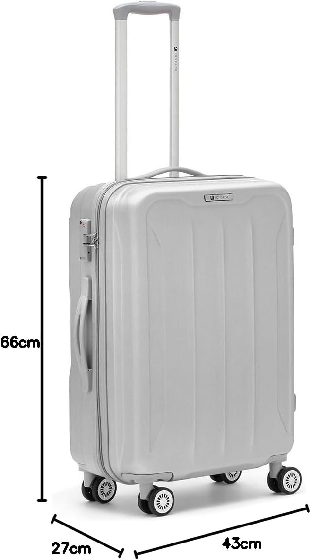 R Roncato Flight 4r Trolley Laptop Rollkoffer 66 Centimeters Silber (Argento), Silber (Argento)