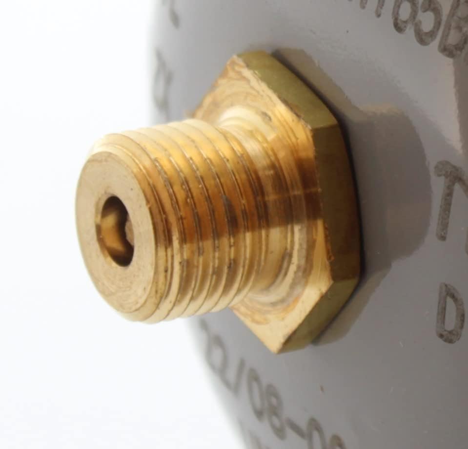 Swan Co2 Einweg Zylinder Flasche 600 gr E290 Kohlesäure Anschluss 11x1 M für Wassersprudler, Kühlagg