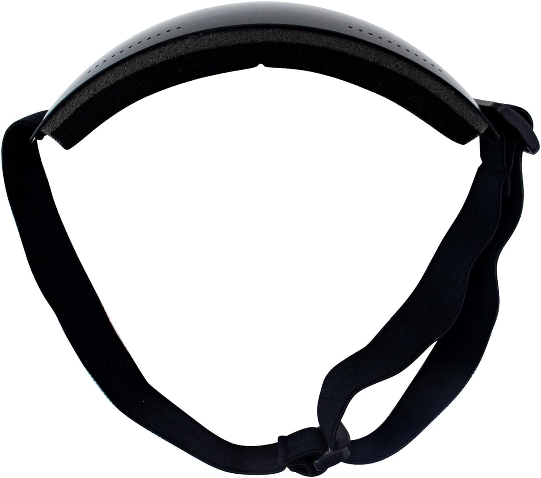 Birdz Thrush Sportbrille für Fallschirmspringen, Snowboarden, Motorradfahren, Rauchglas