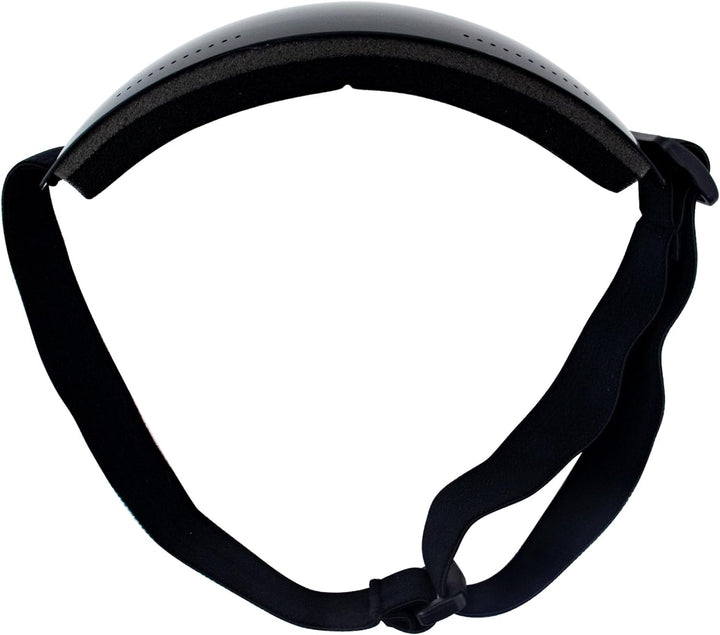 Birdz Thrush Sportbrille für Fallschirmspringen, Snowboarden, Motorradfahren, Rauchglas