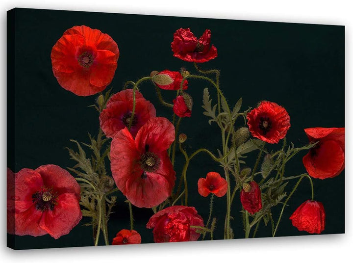 Feeby Bild auf Leinwand Mohn Kunstdruck modern Pflanzen Rot 80x60 cm Leinwandbild 80x60 cm Rot_B, Le
