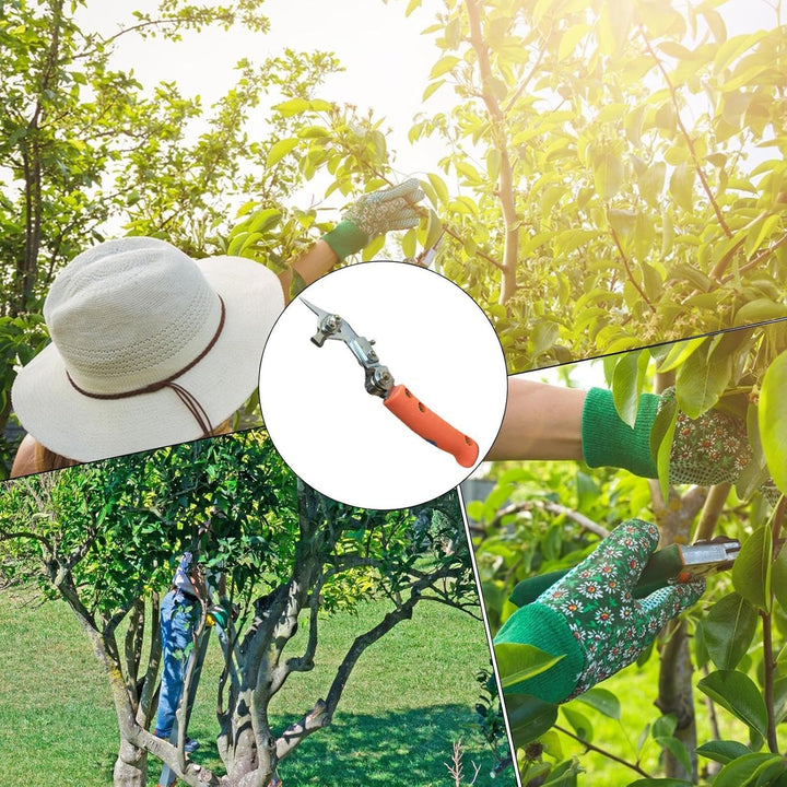 Ringborkenschäler Verstellbare Rindenringelung für Obstbäume und Garten | Borkenabstreifer Verstellb