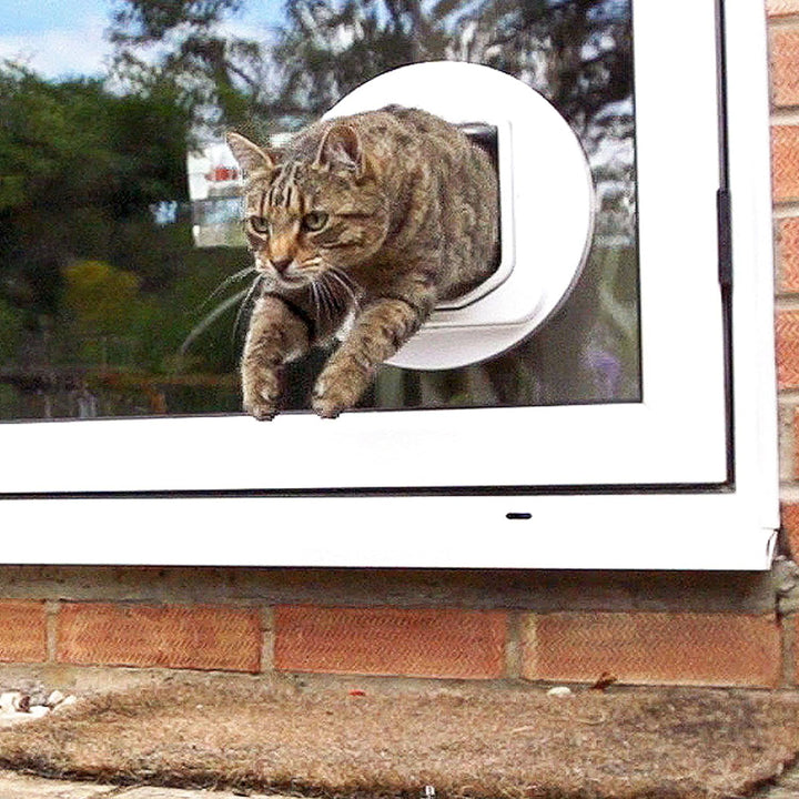 SureFlap DualScan Katzenklappe, weiss 1 Stück (1er Pack)