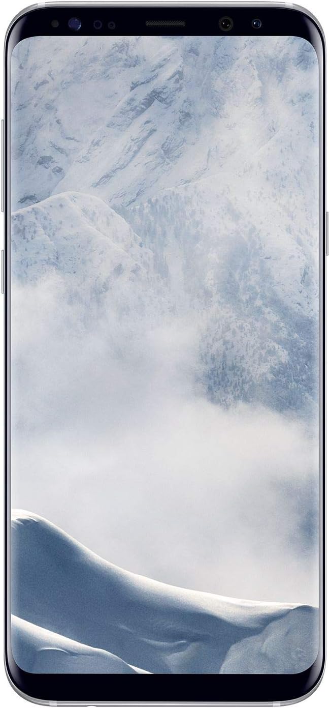 Samsung Galaxy S8+ Smartphone (6,2 Zoll (15,8 cm), 64GB interner Speicher) Handy ohne Vertrag 64 GB