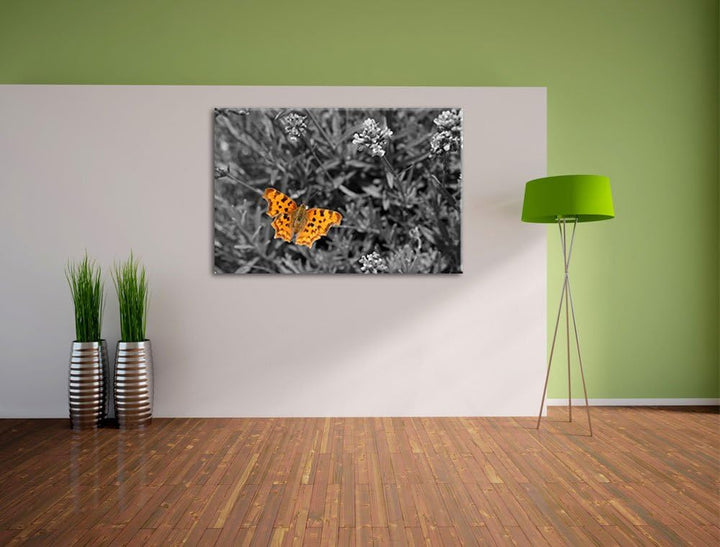 schöner Schmetterling auf Blumenwiese schwarz/weiss auf Leinwand, XXL riesige Bilder fertig gerahmt