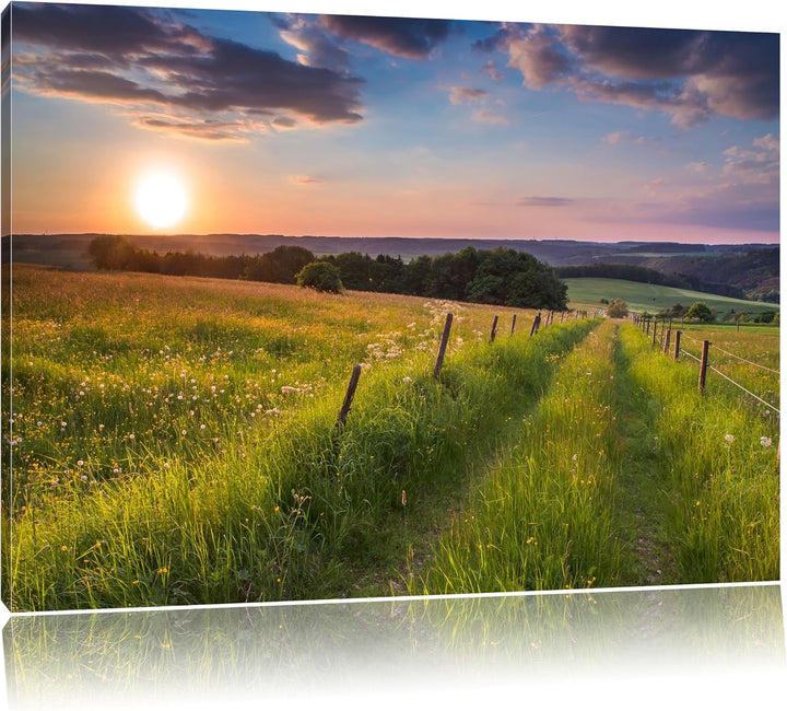 Pixxprint Bergwiese im Sonnenaufgang als Leinwandbild/Grösse: 100x70 cm/Wandbild/Kunstdruck/fertig b