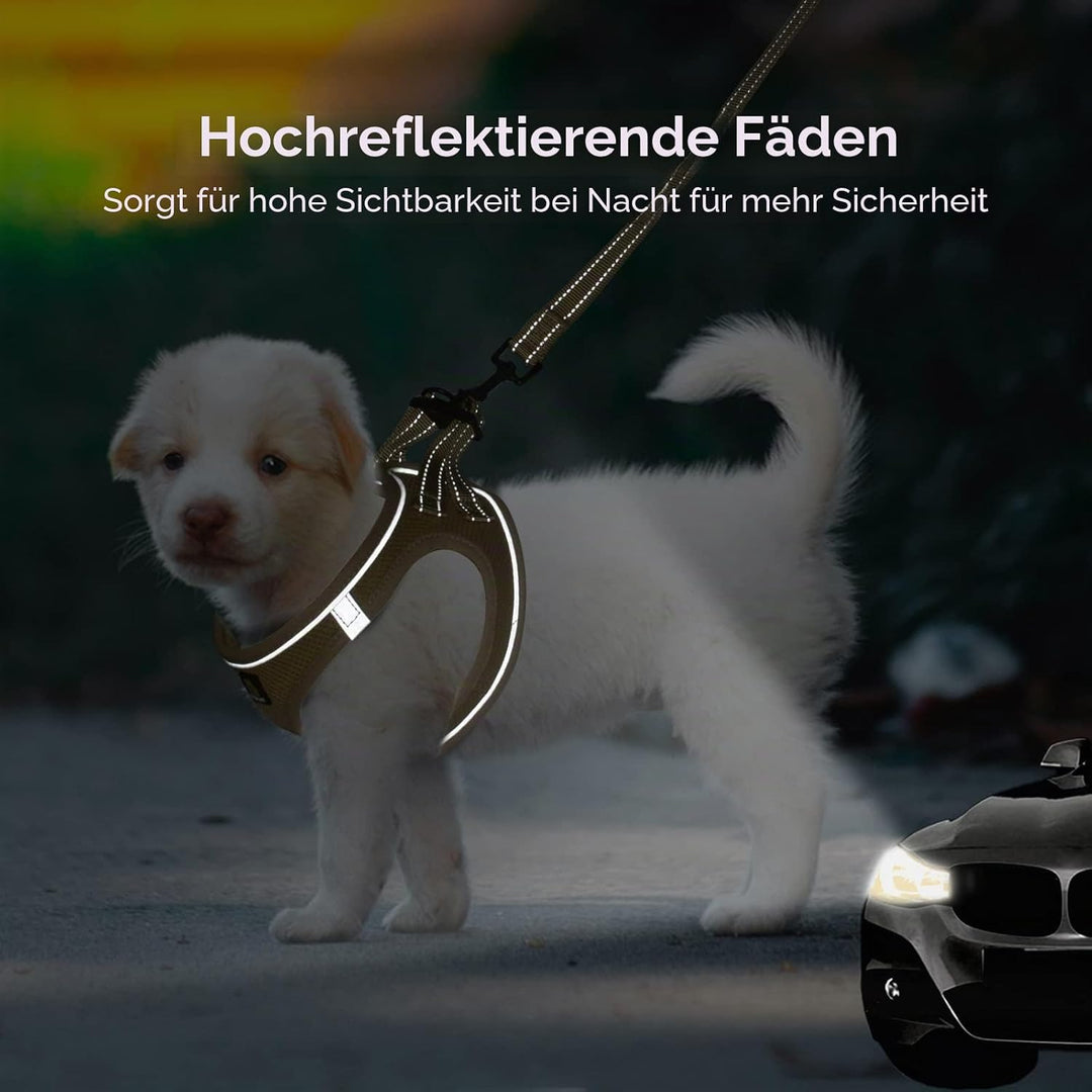 BELLA &amp; PAL Hundegeschirr Kleine Hunde mit Leine, Step-in Geschirr aus Air Mesh, Anti Zug Reflektier