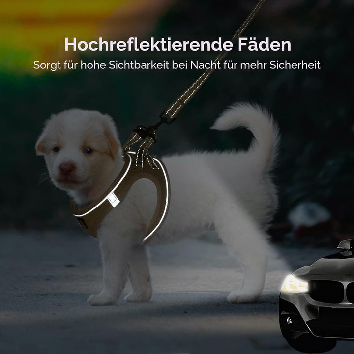 BELLA &amp; PAL Hundegeschirr Kleine Hunde mit Leine, Step-in Geschirr aus Air Mesh, Anti Zug Reflektier