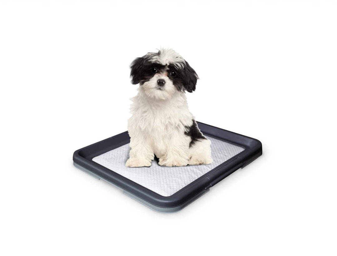 Nobby 67150 Doggy Trainer S - 48 x 41 x 3.5 cm Small, Small