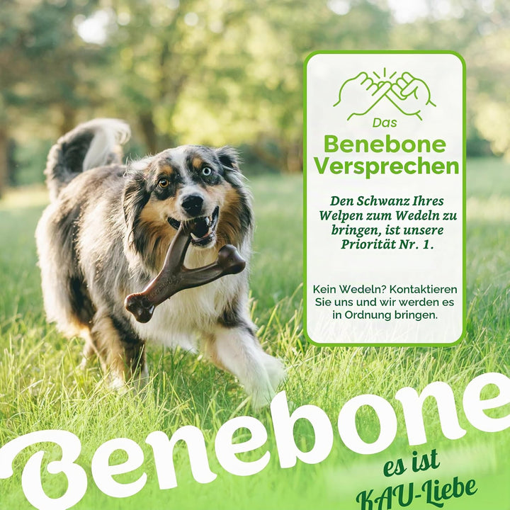 Benebone 2-Pack Indestructible Dental Chew/Wishbone for Aggressive Chewers, Long Lasting Tough Bored