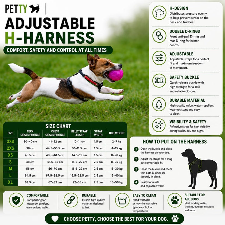 Petty Store -Leuchtharnisch für Hunde, wasserdicht, 3 Farben – Geschirr mit LED, USB-Aufladung bis z