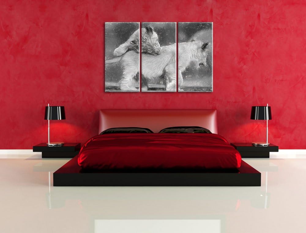 Löwenjunge beim Spielen Spezial 3-Teiler Leinwandbild 120x80 Bild auf Leinwand, XXL riesige Bilder f