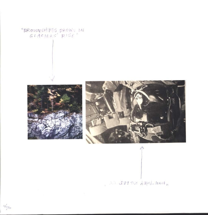 Luciferian Towers, Vinyl