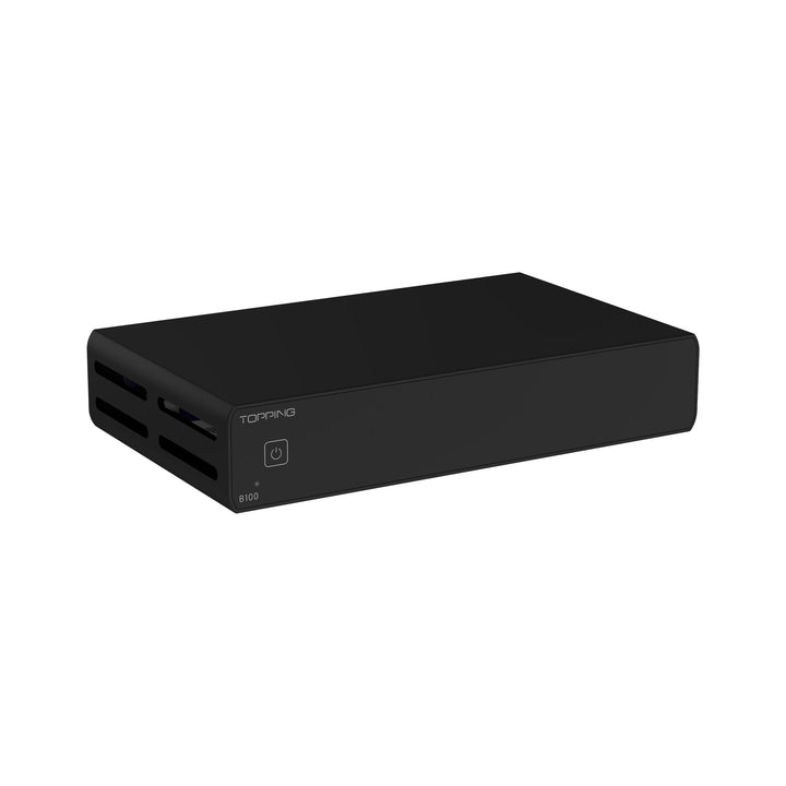 Topping B100 Reiner Mono-Leistungsverstärker - 100W Ausgangsleistung BAL/SE Eingang 3 Verstärkung 15
